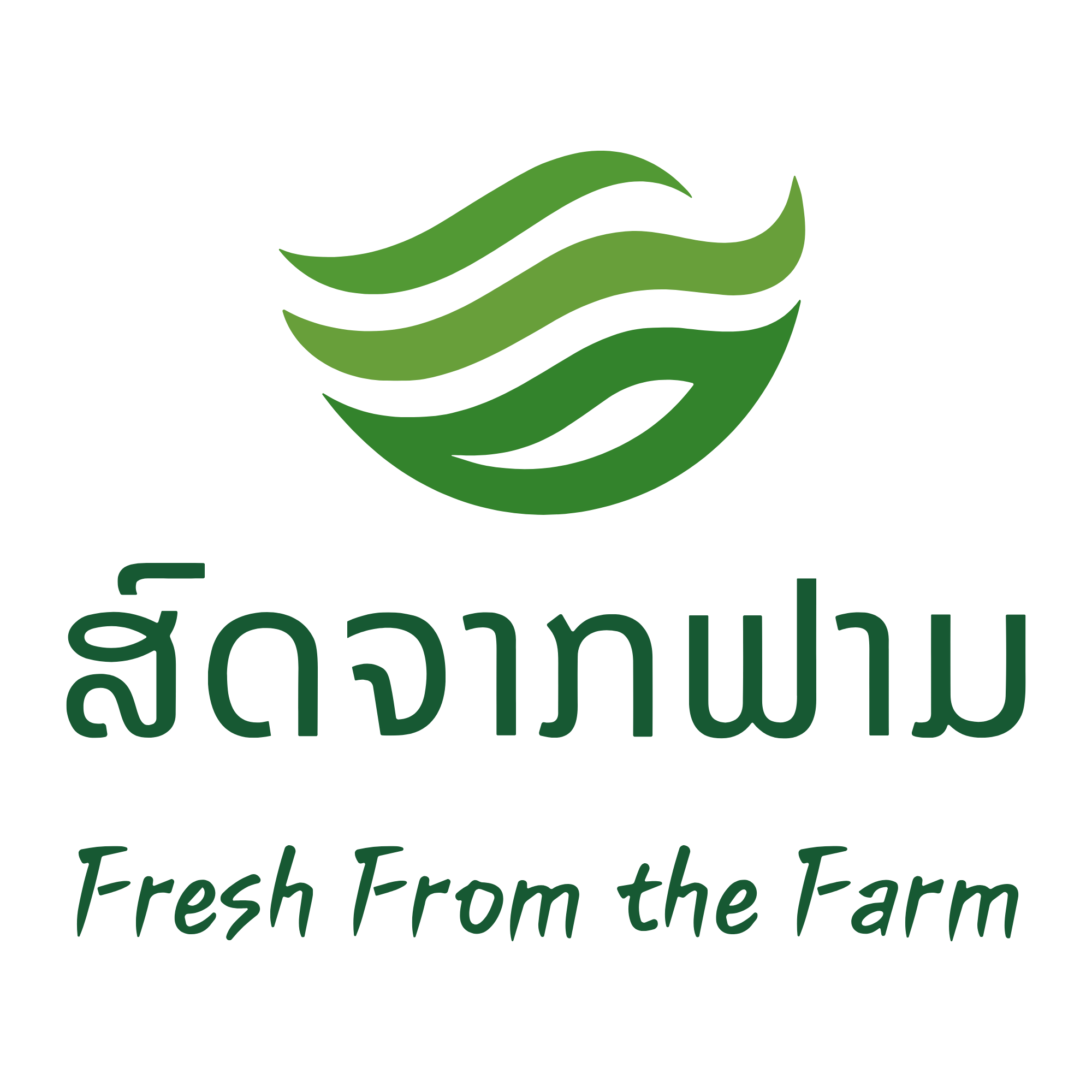 ສົດຈາກຟາມ — Fresh From the Farm